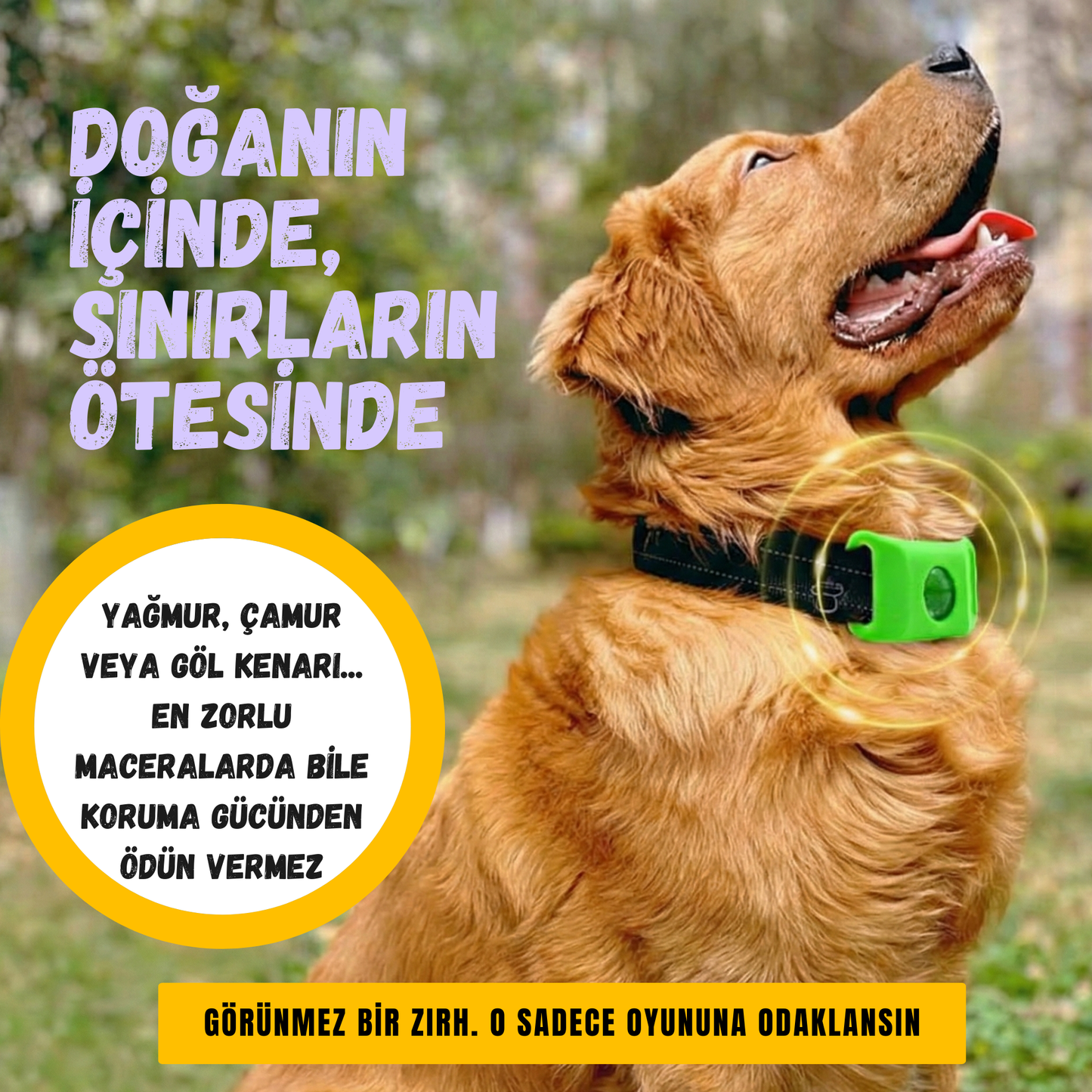 Mağaza™ Yeni Nesil Pire & Kene Tasması