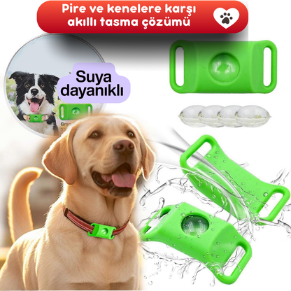 Mağaza™ Yeni Nesil Pire & Kene Tasması