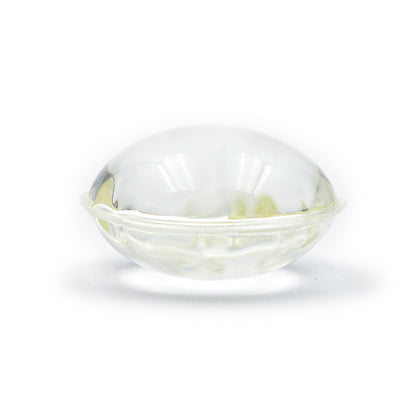 Mağaza™ Yeni Nesil Pire & Kene Tasması